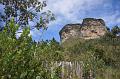 01 Intro Chapada Orchids